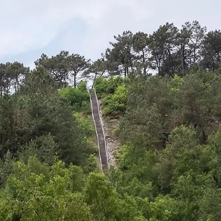Σαλέ Tiny House Schoorl Bergen Nh