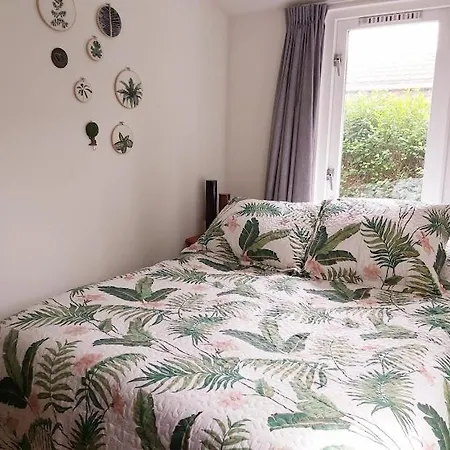 Tiny House Schoorl Bergen Nh