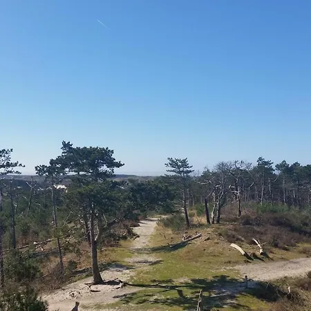 Chalé Tiny House Schoorl Bergen Nh Warmenhuizen