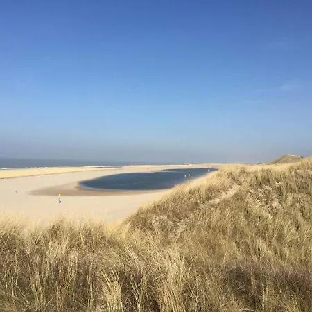 Tiny House Schoorl Bergen Nh *
